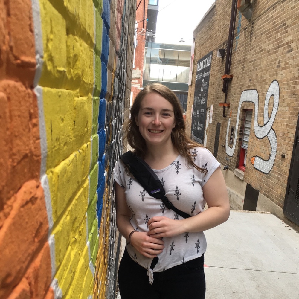 Meet your Posher, Ally